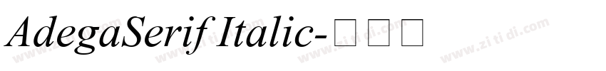 AdegaSerif Italic字体转换